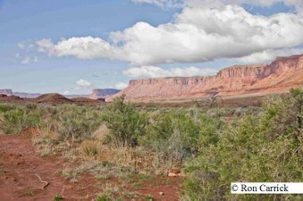 Enlarge photo 189