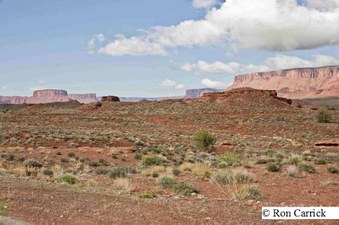 Enlarge photo 193