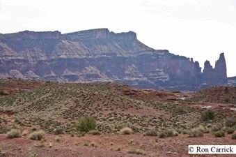 Enlarge photo 194
