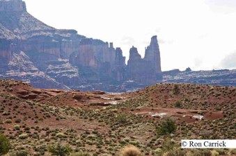 Enlarge photo 201