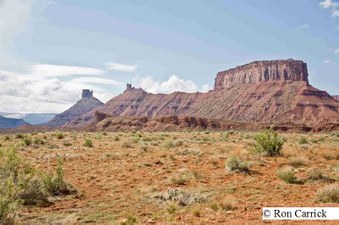 Enlarge photo 208