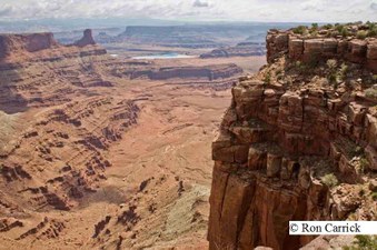 Enlarge photo 209