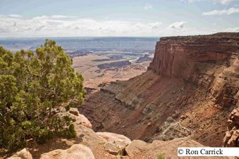 Enlarge photo 217