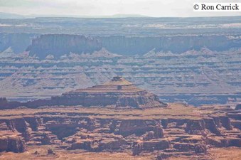 Enlarge photo 220