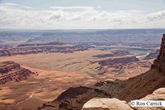 Enlarge photo 221