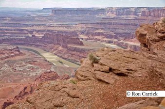 Enlarge photo 222