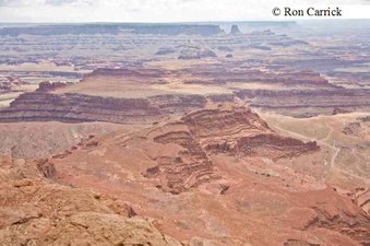 Enlarge photo 224