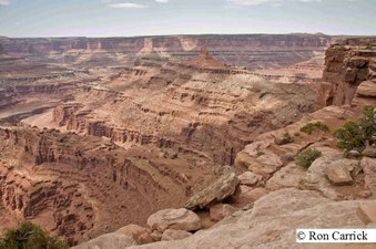 Enlarge photo 233