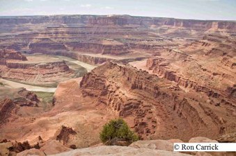 Enlarge photo 234