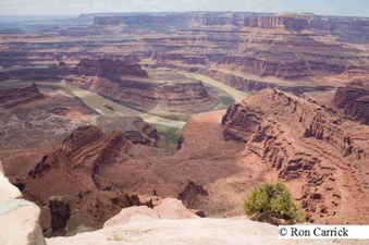 Enlarge photo 237