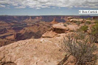 Enlarge photo 247