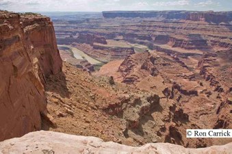 Enlarge photo 249