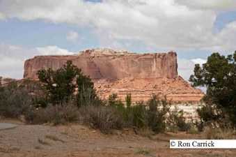 Enlarge photo 254