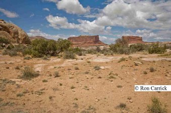 Enlarge photo 253