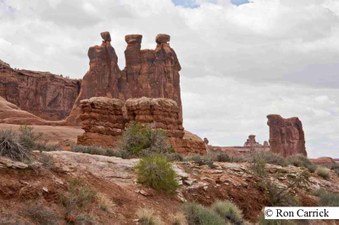Enlarge photo 79