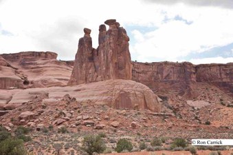 Enlarge photo 83