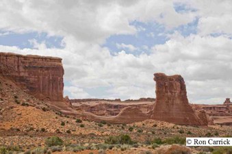 Enlarge photo 85