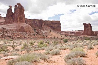 Enlarge photo 87