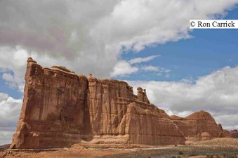 Enlarge photo 90