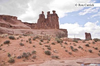 Enlarge photo 91