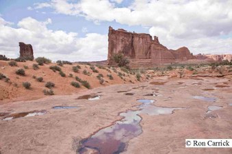 Enlarge photo 92
