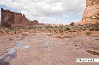 Enlarge photo 93
