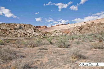 Enlarge photo 151