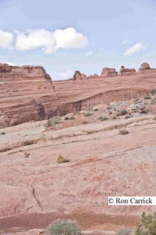 Enlarge photo 150