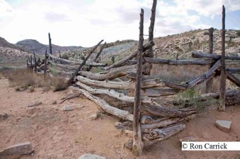 Enlarge photo 152