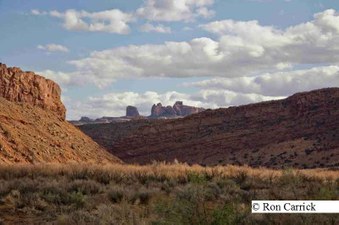 Enlarge photo 94