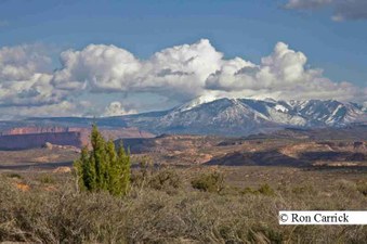 Enlarge photo 95