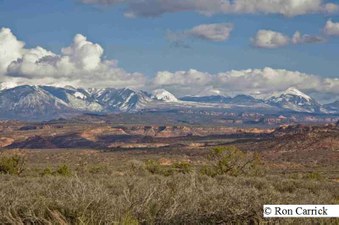 Enlarge photo 96