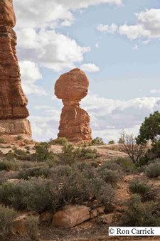 Enlarge photo 101
