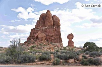 Enlarge photo 102