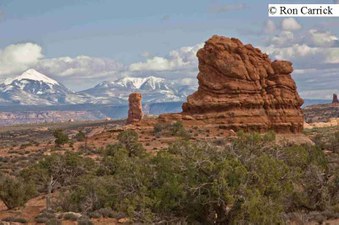 Enlarge photo 104