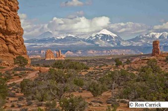 Enlarge photo 105