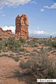 Enlarge photo 106