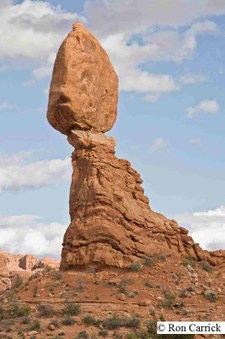 Enlarge photo 107