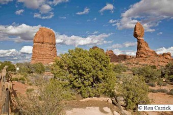Enlarge photo 110