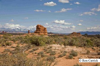 Enlarge photo 113