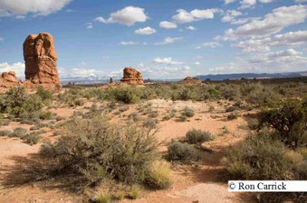 Enlarge photo 115