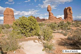 Enlarge photo 116