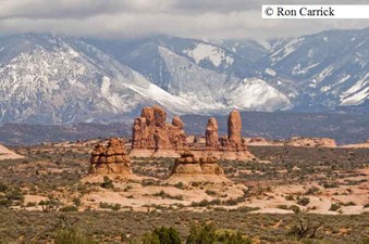Enlarge photo 119
