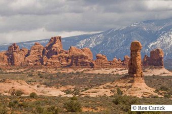 Enlarge photo 121