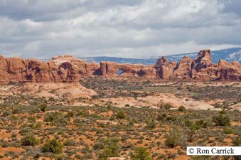 Enlarge photo 122