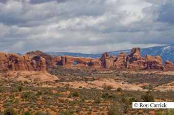 Enlarge photo 126