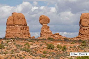 Enlarge photo 127