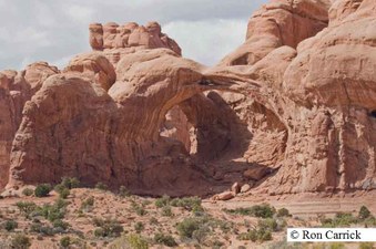 Enlarge photo 129