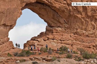 Enlarge photo 131