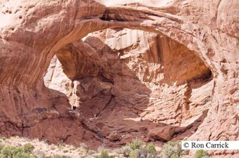 Enlarge photo 133